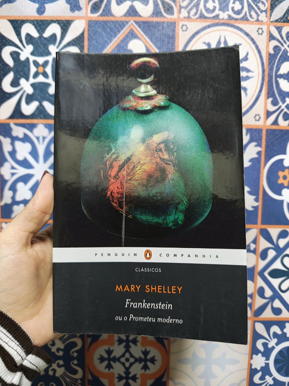 Frankenstein e a ética da morada